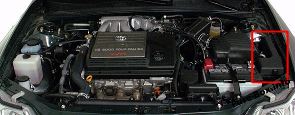 La posizione dei fusibili nel vano motore: Toyota Avalon (2000-2004)