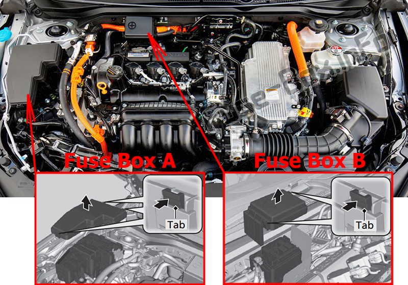 La posizione dei fusibili nel vano motore: Honda Insight (2019)