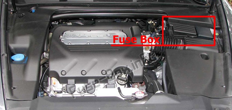 The location of the fuses in the engine compartment: Acura TL (UA6/UA7; 2004-2008)