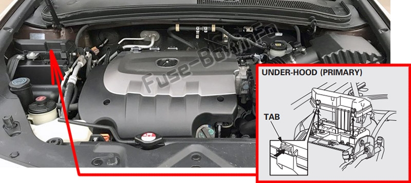 La posizione dei fusibili nel vano motore: Acura ZDX (2010-2013)
