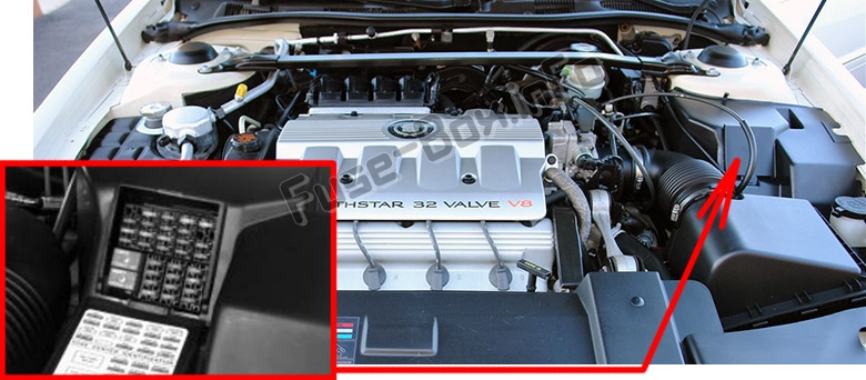 La posizione dei fusibili nel vano motore: Cadillac Eldorado (1997-2002)