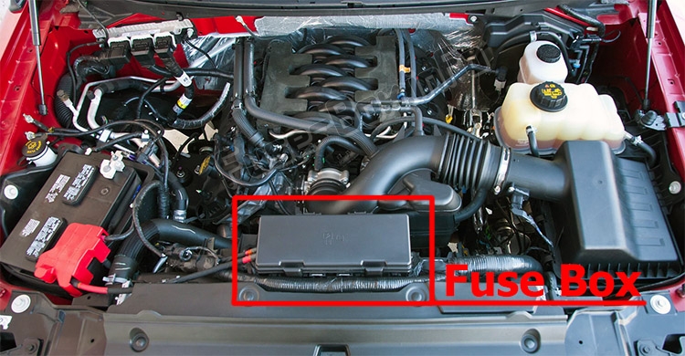La posizione dei fusibili nel vano motore: Ford F-150 (2009-2014)