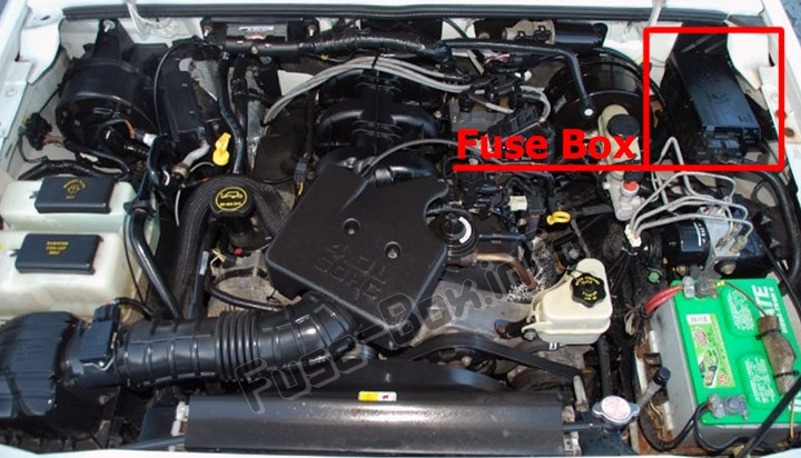 La posizione dei fusibili nel vano motore: Ford Ranger (1998-2003)