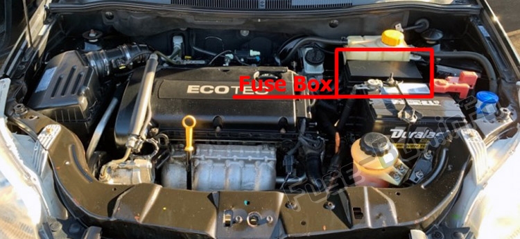 The location of the fuses in the engine compartment: Pontiac G3 (2009-2010)
