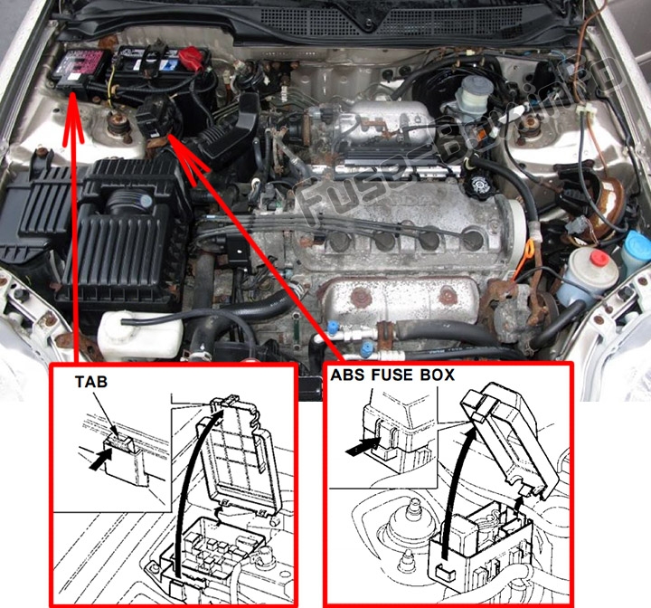 The location of the fuses in the engine compartment: Honda Civic (1996-2000)
