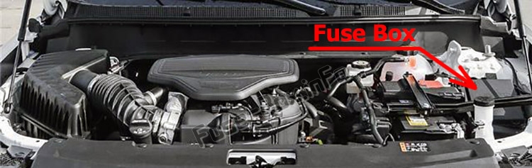 The location of the fuses in the engine compartment: Cadillac XT6 (2020-...)