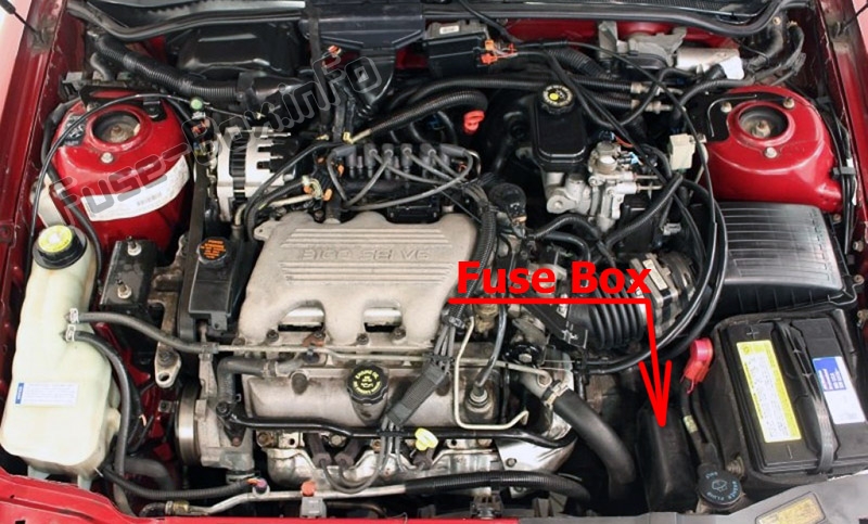 La posizione dei fusibili nel vano motore: Buick Skylark (1996, 1997, 1998)