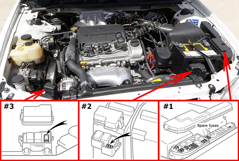 La posizione dei fusibili nel vano motore: Toyota Solara (1998-2003)