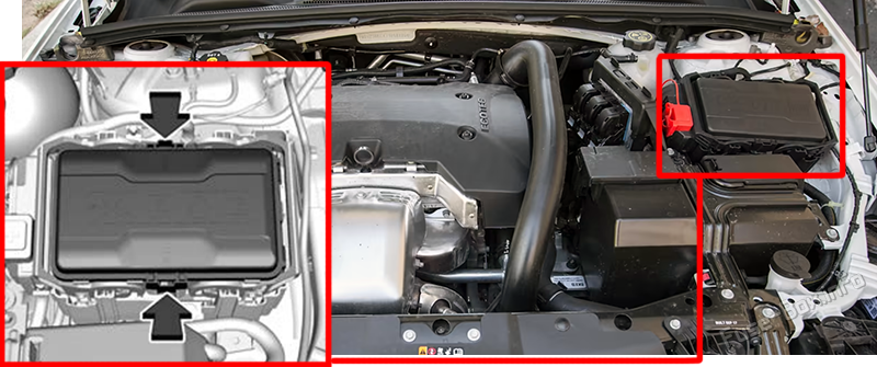 Location of the fuses in the engine compartment: Holden Commodore ZB (2018-2020)